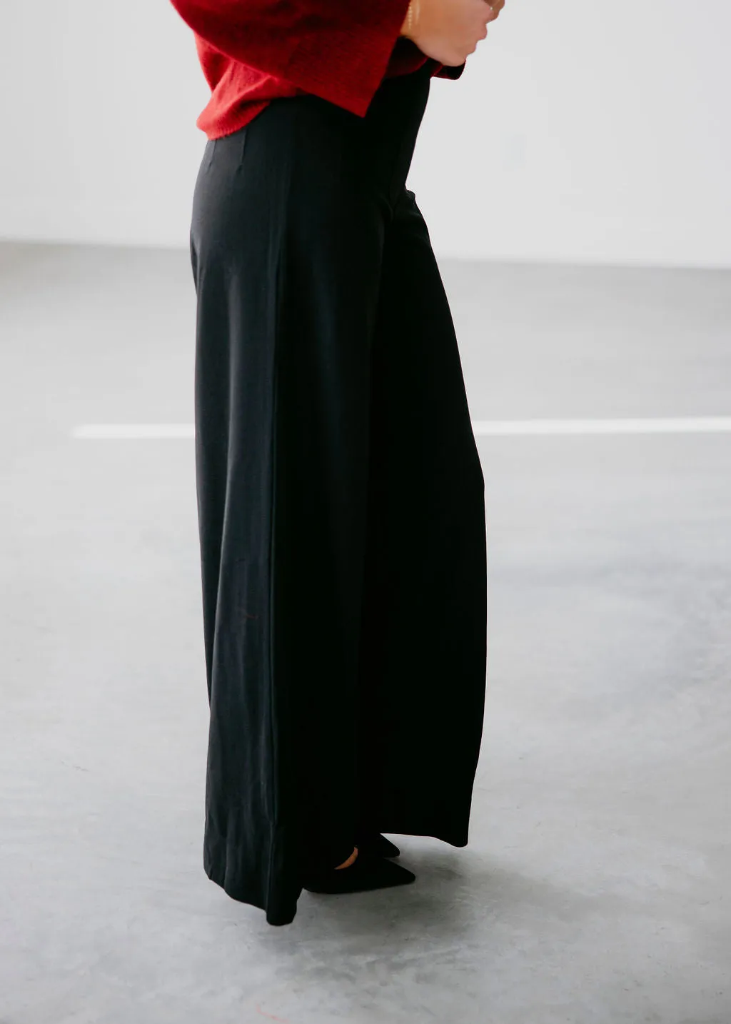 Dana Wide Leg Pants