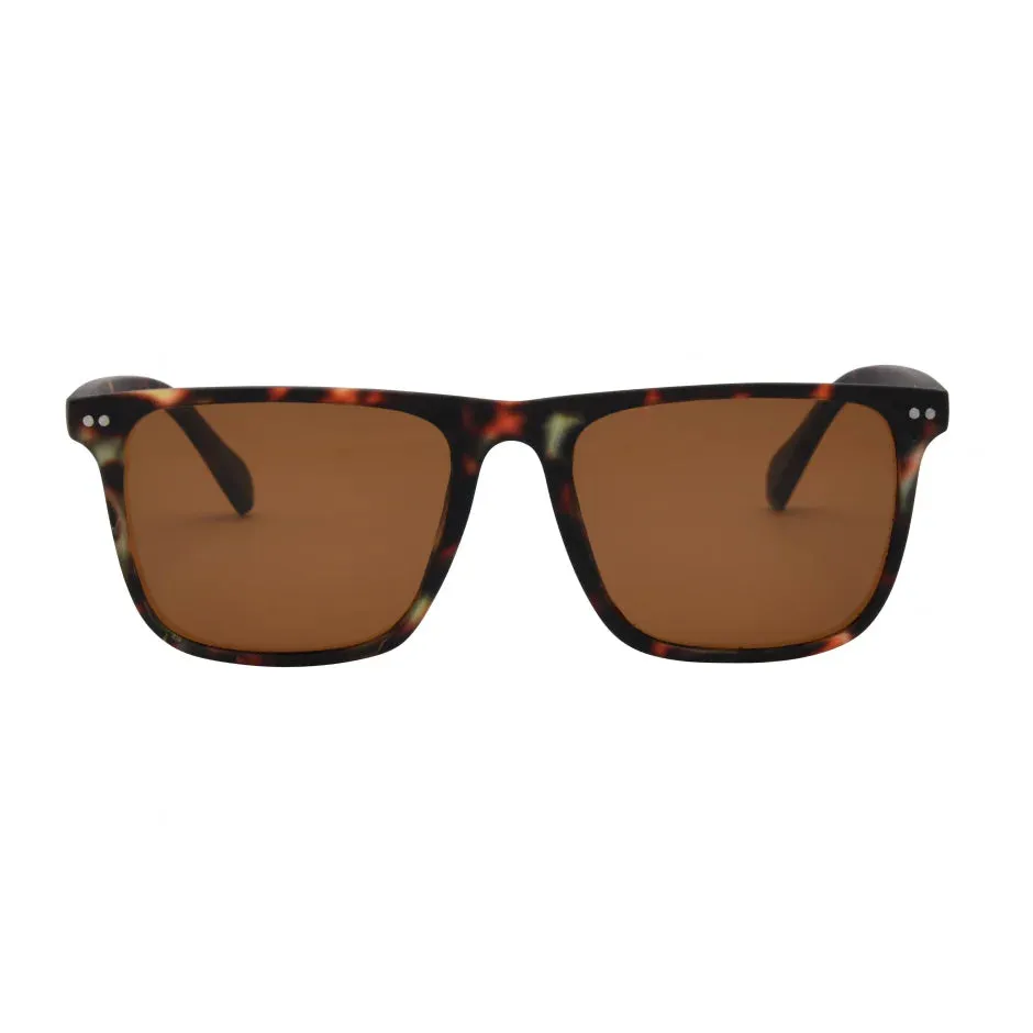 Dax Sunglasses