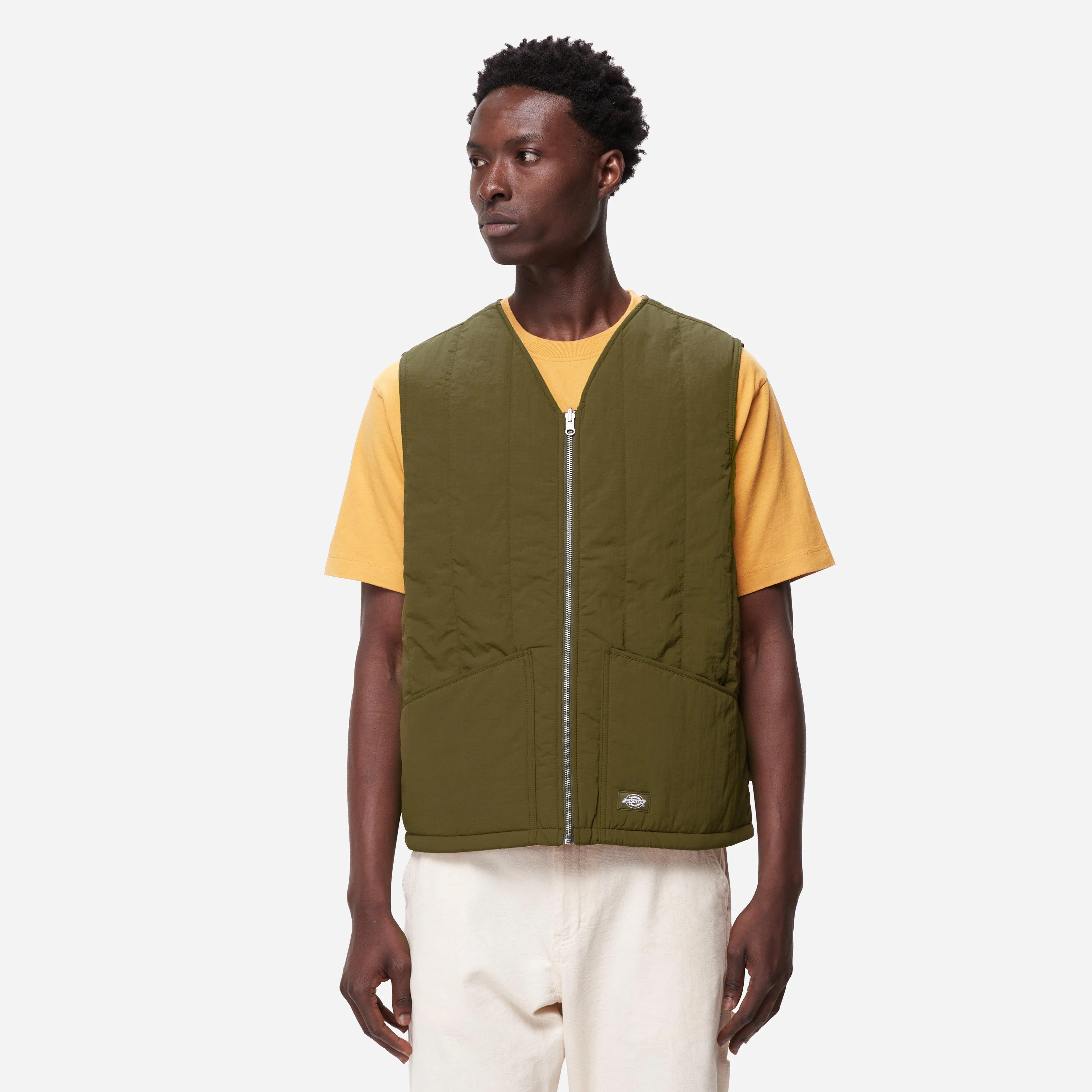 Dickies Delivery Vest