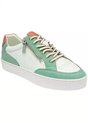 White & Green Sierra Trainers by Lotus | Look Again